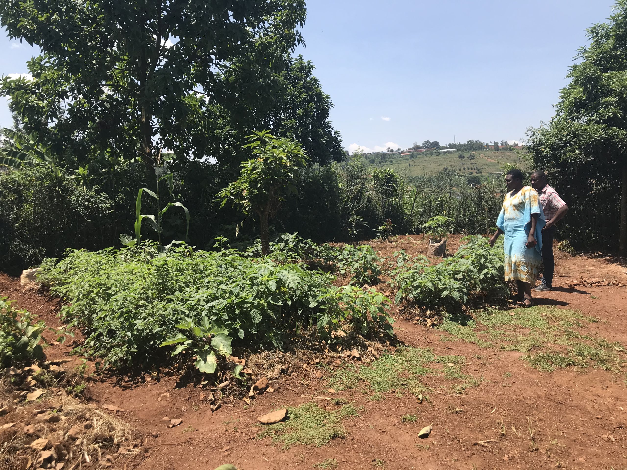 Sarah Myirarulando says the health of her family has improved since she began growing her own vegetables.
