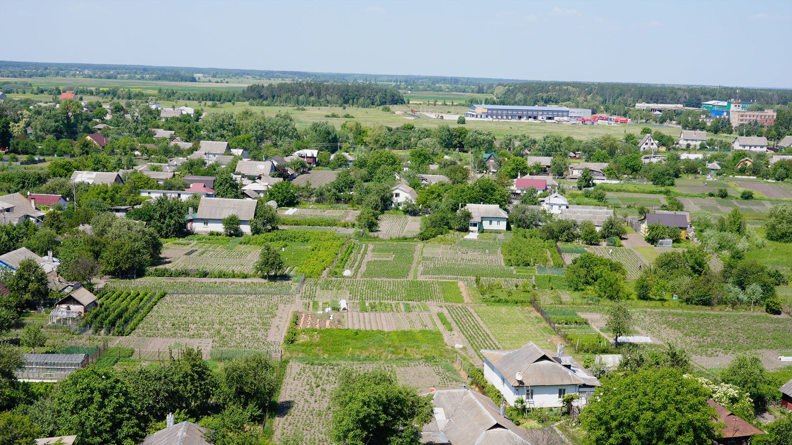 Farmland in the Chernihiv region, a view from the top floor of Kriuchkov's storage elevator.