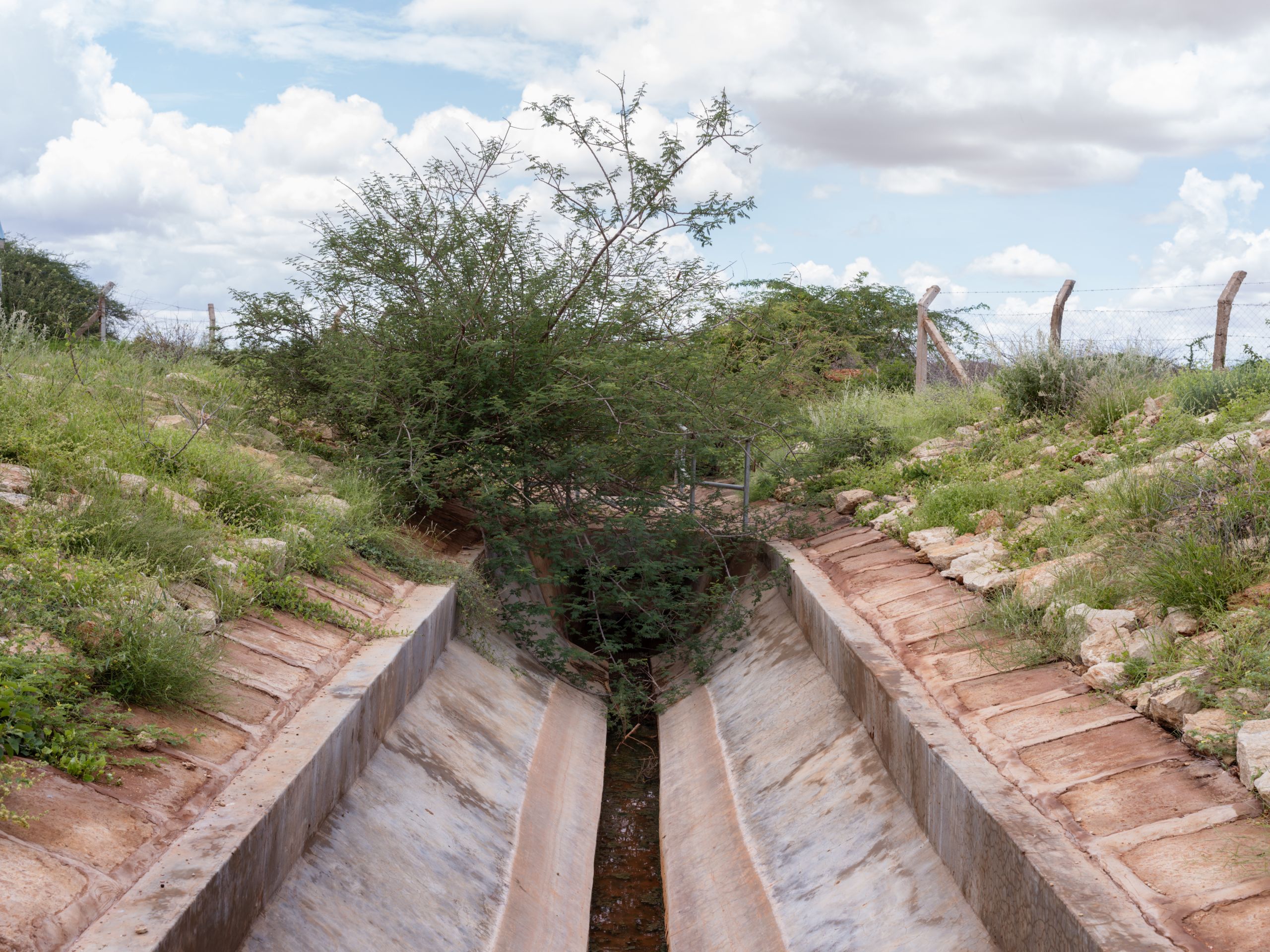 Kenya_Wajir_sewage_treatment_overgrown_bush_covering