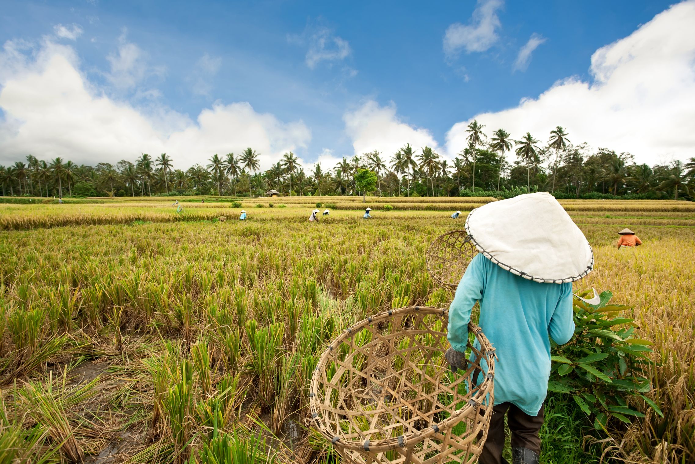 which-countries-are-facing-the-worst-of-the-global-food-crisis